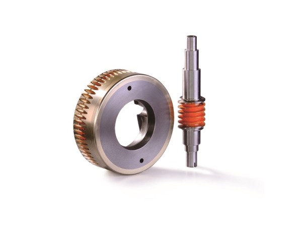 雙金屬蝸輪/蝸桿 Bi-Material Worm Gear/Worm Shaft